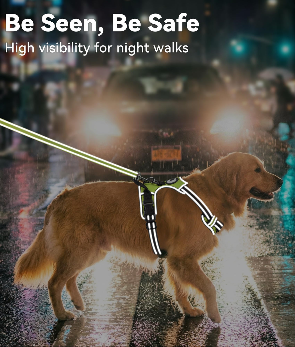 No Pull Dog Harness Medium Sized Dog (Medium / Green)