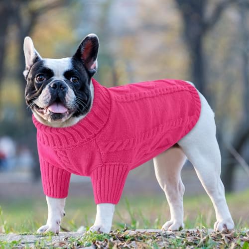 Dog Sweater for Small to Large Dogs (Large / Fuchsia)
