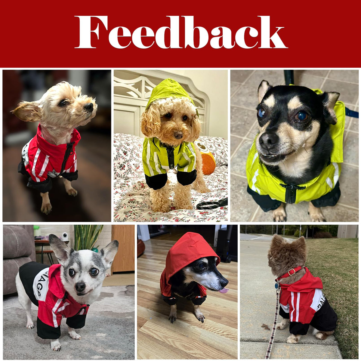 Dog Raincoat Waterproof Dog Rain Jacket with Detachable Hood (Red / Small (5-7Ibs))
