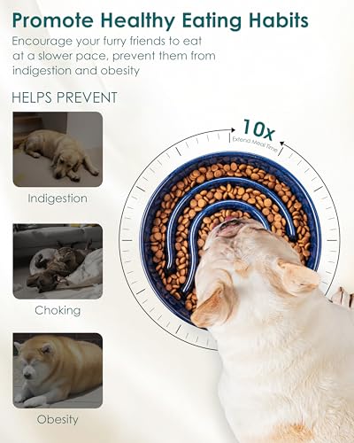 Slow Feeder Dog Bowl (Blue / 0.6 Cups)