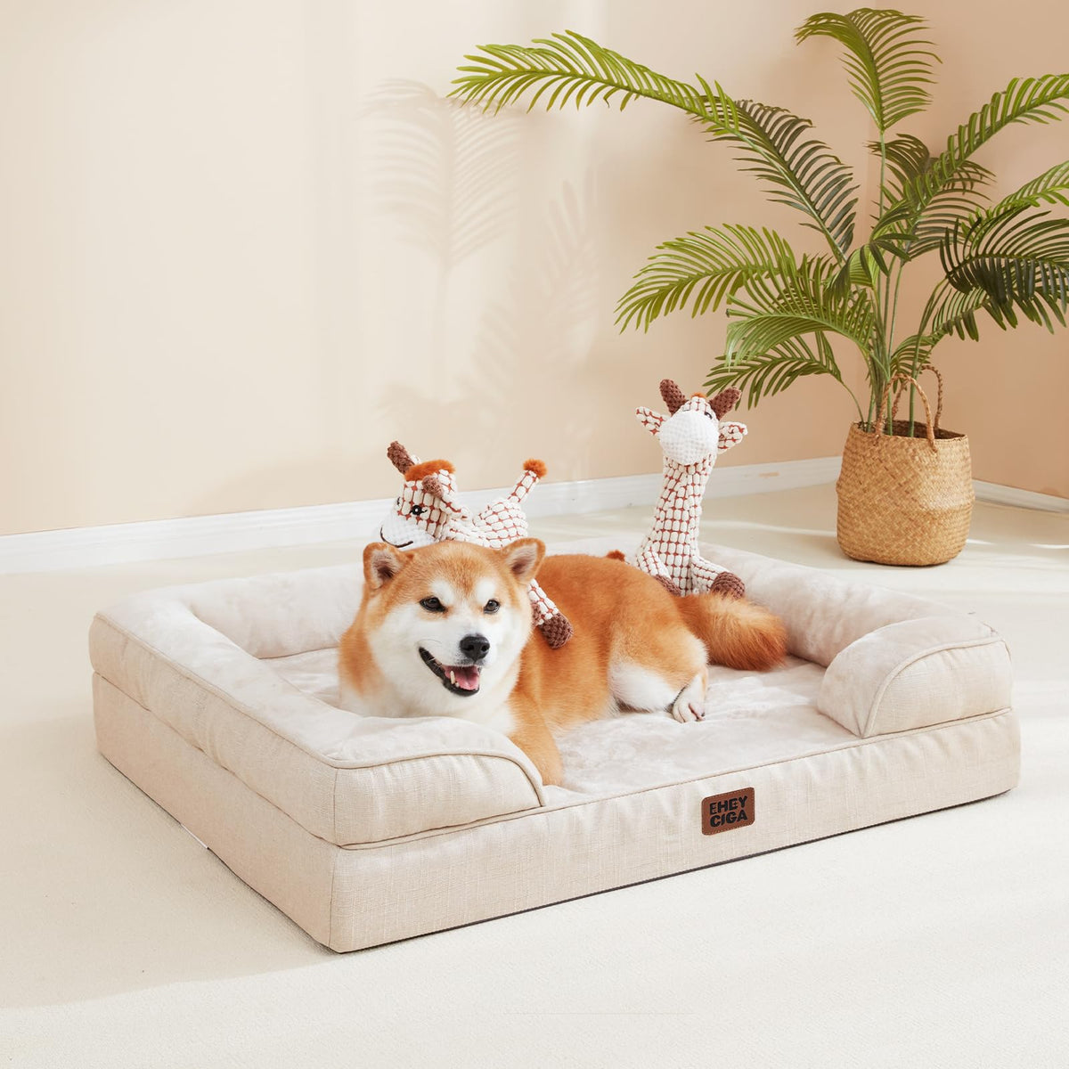 Orthopedic Dog Bed for Large Dogs (Beige / 35.0"l X 22.0"w X 6.5"th)