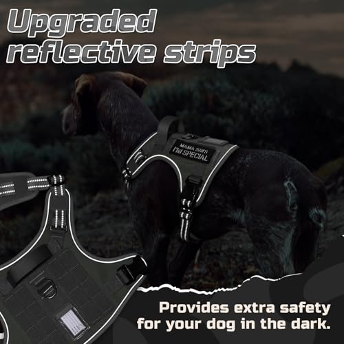 Tactical Dog Harness for X (Grey / X-Large)