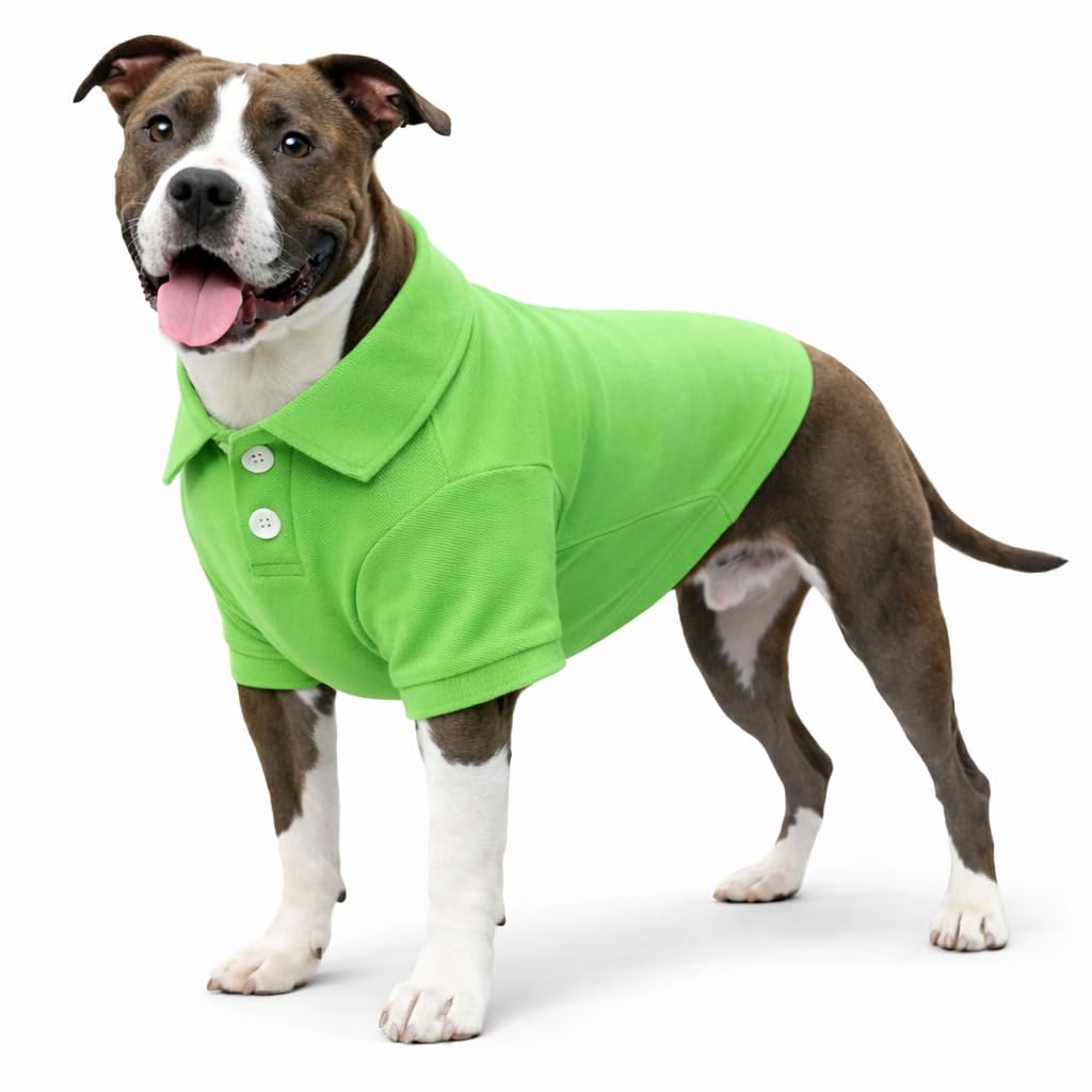 Basic Dog Polo Shirts Premium Cotton (XL (-35lbs) / Green)