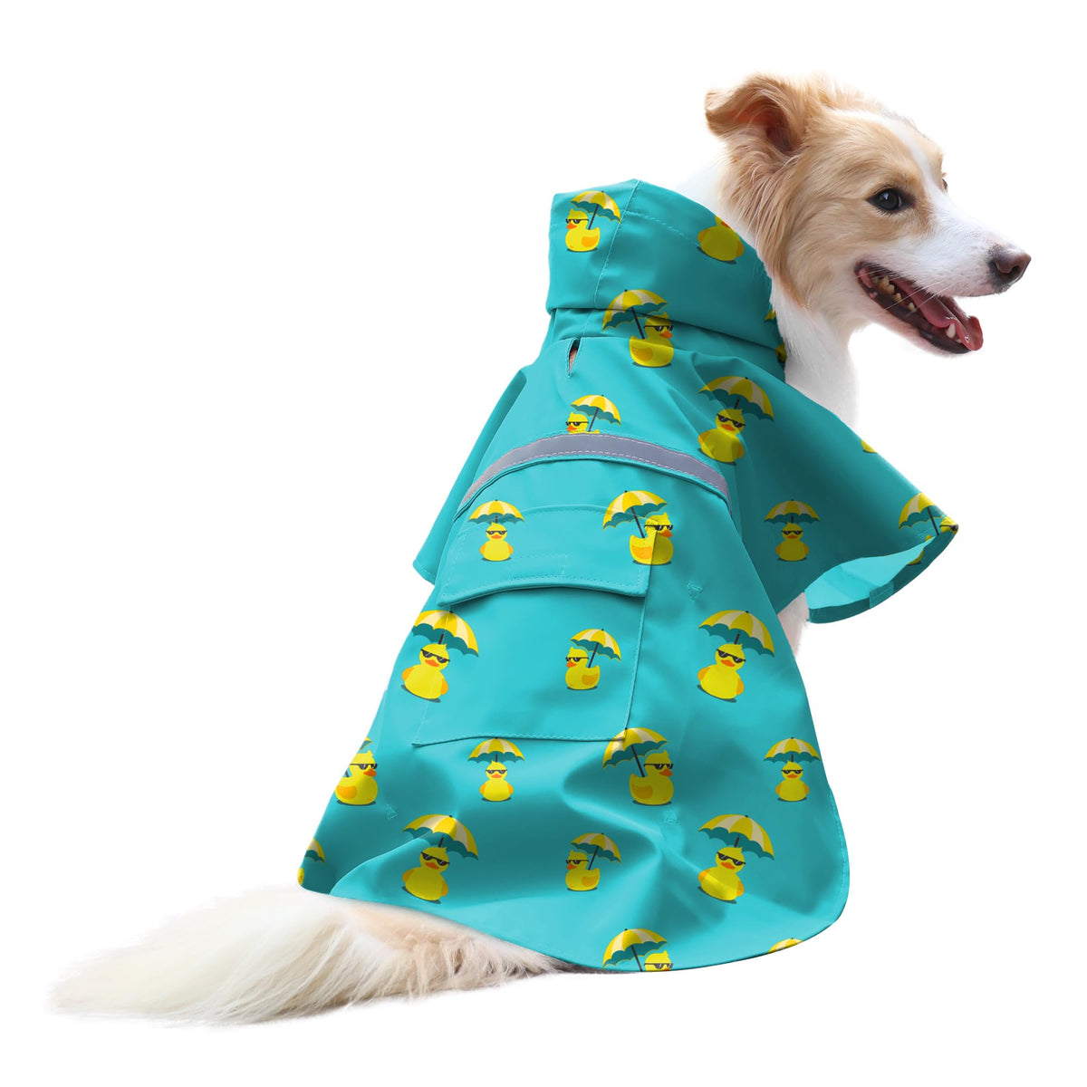 Large Dog Raincoat Adjustable (Lake Green / Medium (Pack of 1))