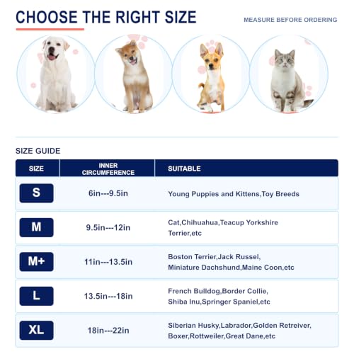 Inflatable Dog Cone Collar for Large Medium Small Dogs (Dinosaur / Medium)