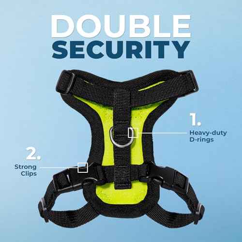 Voyager Step in Lock Cat Harness & Leash Set (Lime Green/Black Trim / XS (Chest: 13 - 16"))