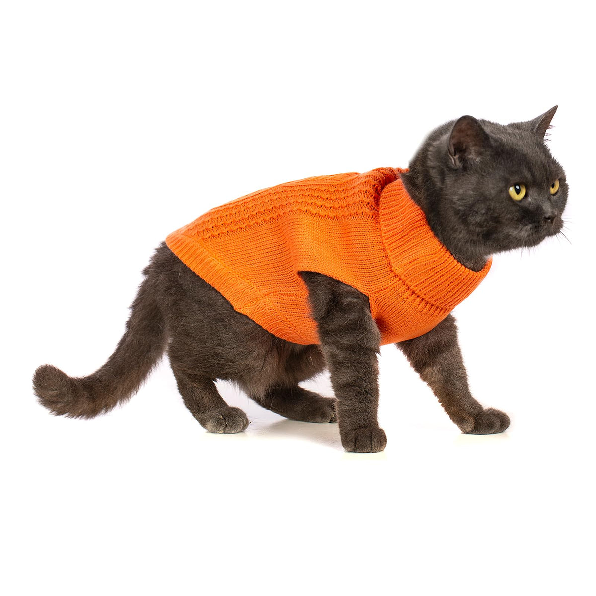 Cat Sweater Stretchy (Orange / Small)