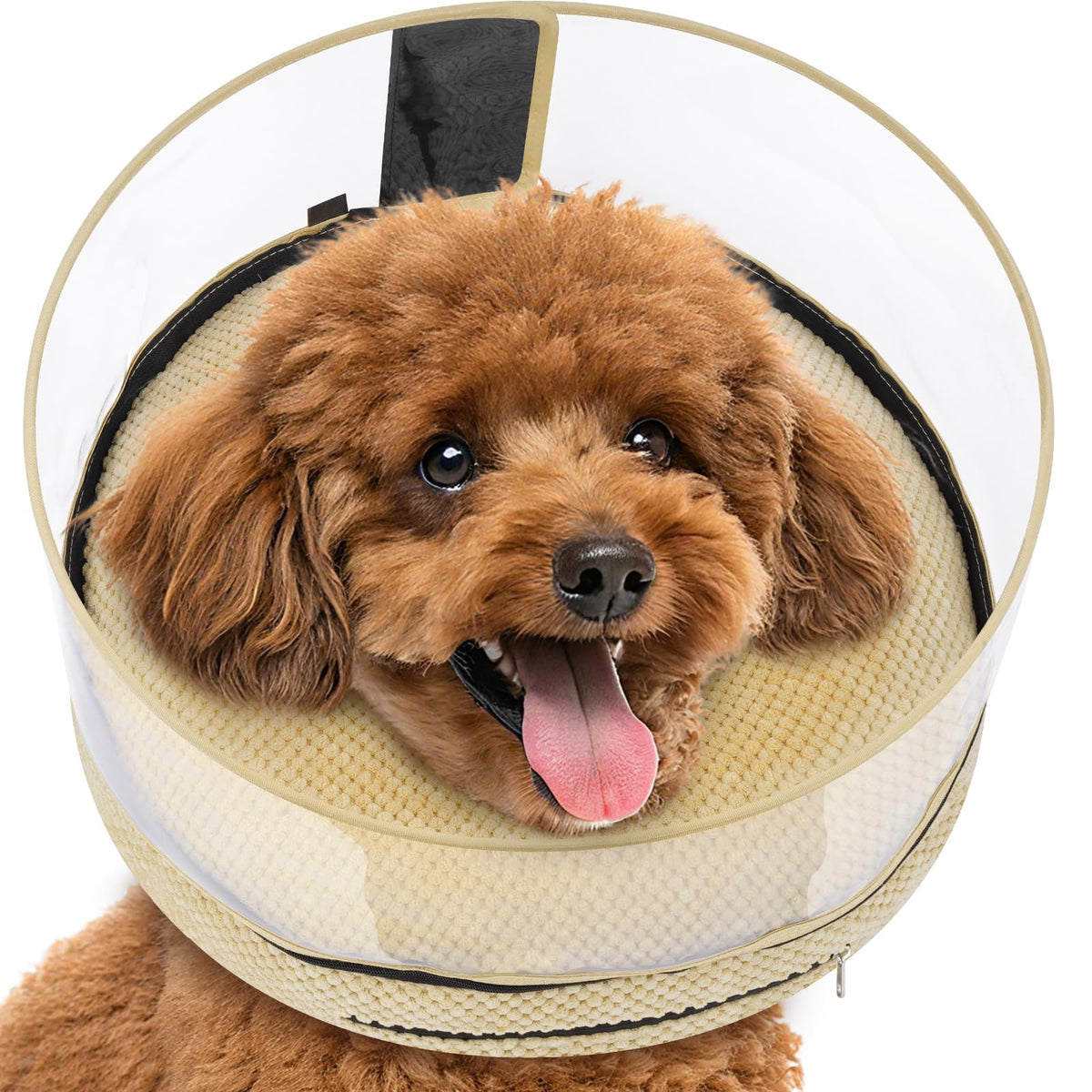 Inflatable Dog Cone with Clear Shield for Added Coverage (Khaki / M (Neck: 8"-11"))