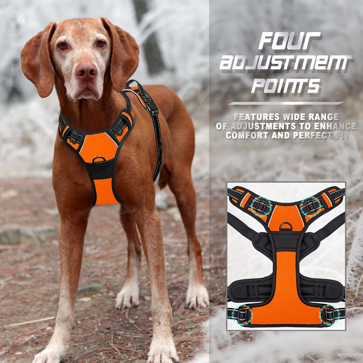 Dog Harness No Pull for Large Dogs Front Back Clips (Large(Chest:24.5-32.5") / Orange)