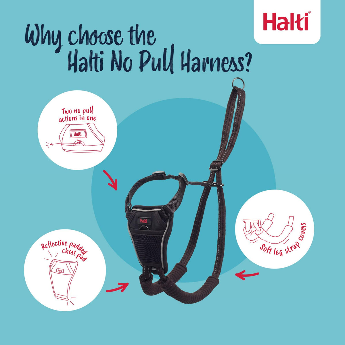 No Pull Dog Harness (Black / XS)