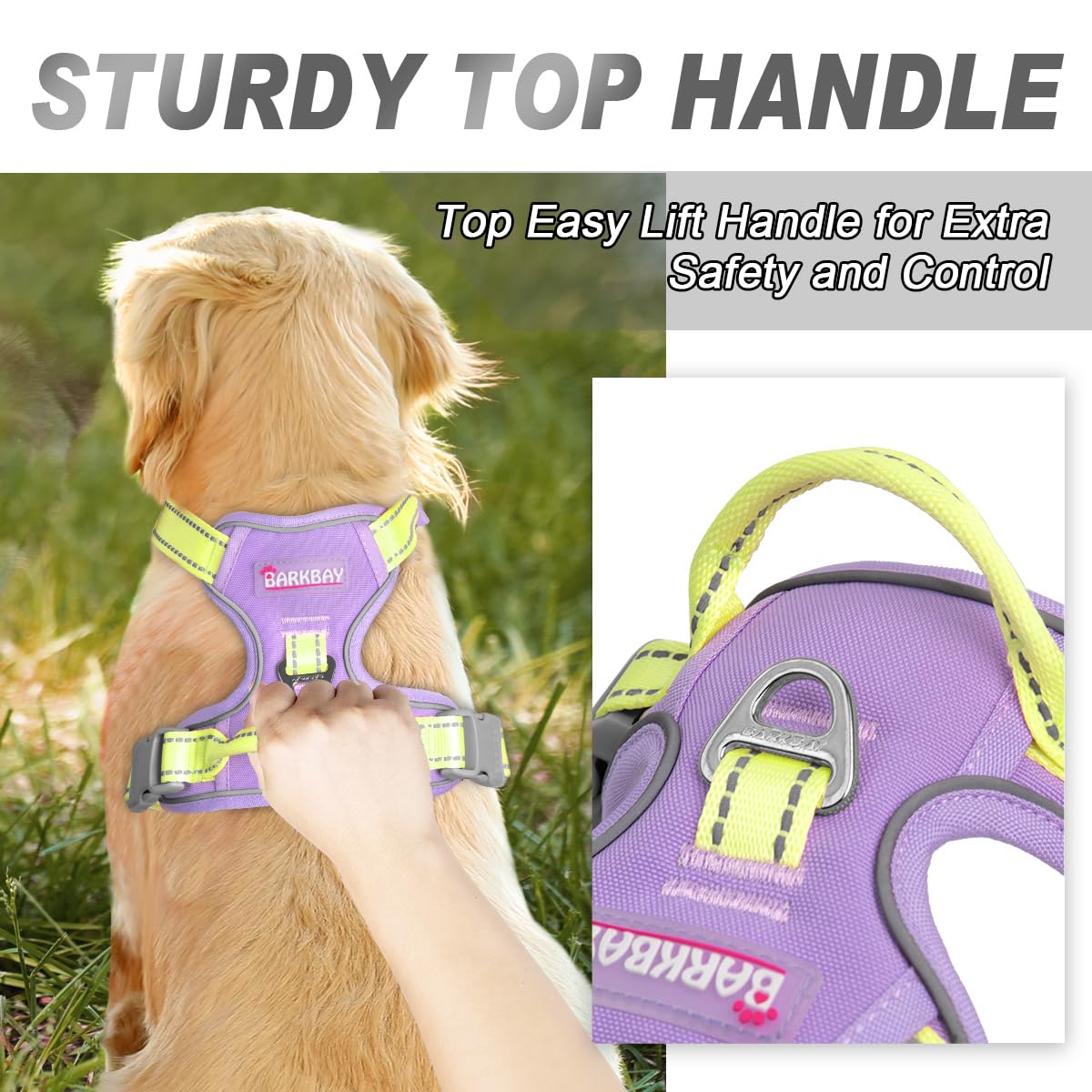 Dog Harness No Pull for Small Sized Dog Front Back Clips (X-Small(Chest:15.5-19.5”) / Violet Purple & Sunlight)