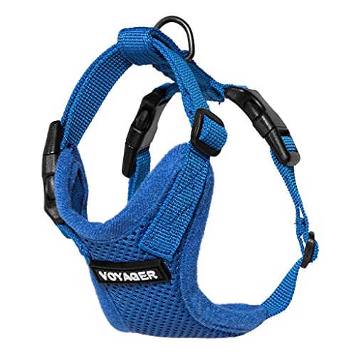 Voyager Step in Lock Cat Harness & Leash Set (Royal Blue / XXXS (Chest: 10.5 - 13"))
