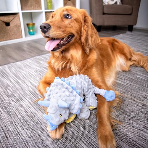 Dinos Frills Squeaky Plush Dog Toy with Chew Guard Technology (Dinos Frills (Gray) / Large)