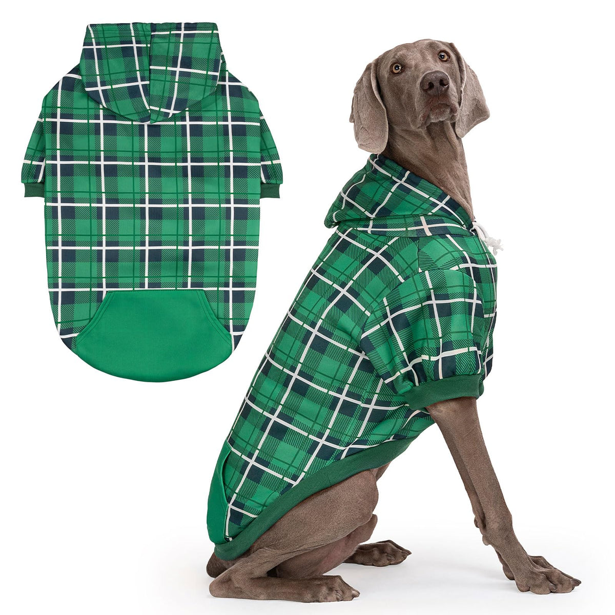 Plaid Dog Hoodie (Green / X-Large)