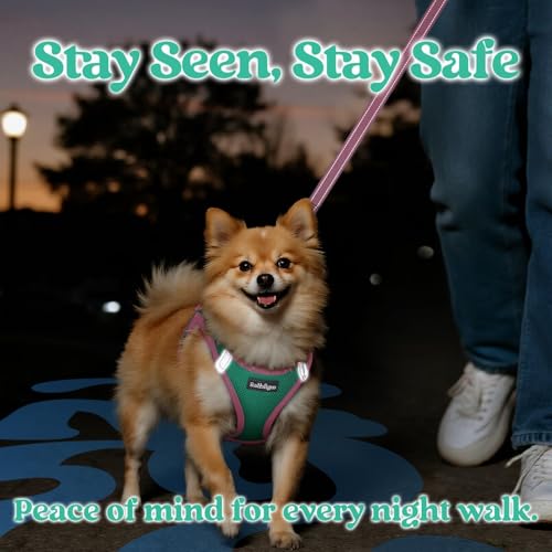Dog Harness Small Sized and Leash Set (Teal & Pink / S (Chest: 15.1"-16.5"))
