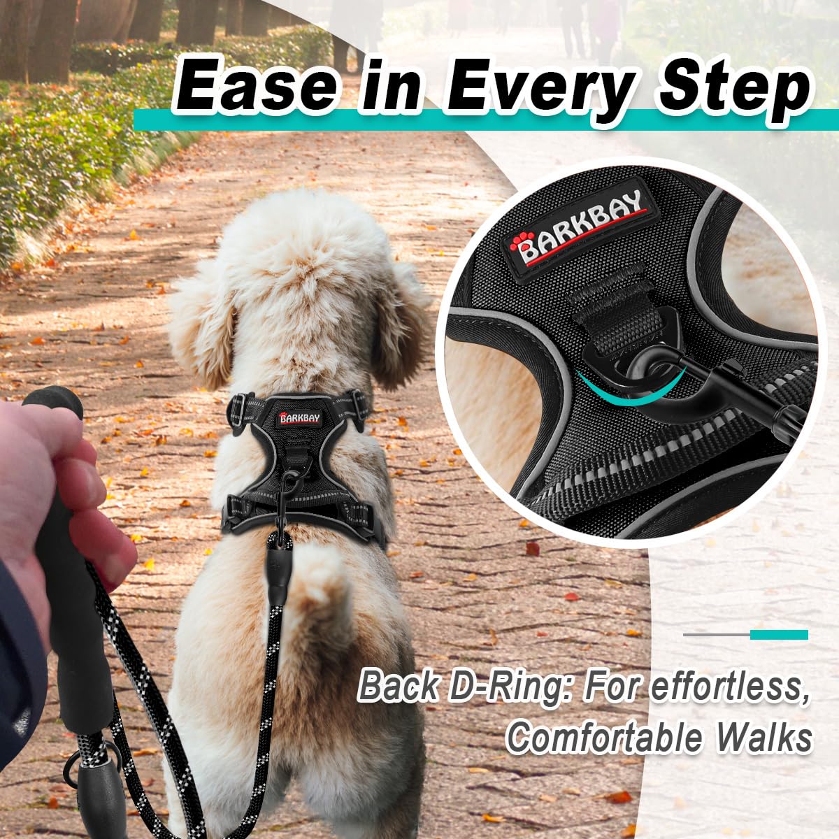 Dog Harness for Small Sized Dog No Pull 2 Leash Clips Dog Vest (Black / X-Small)