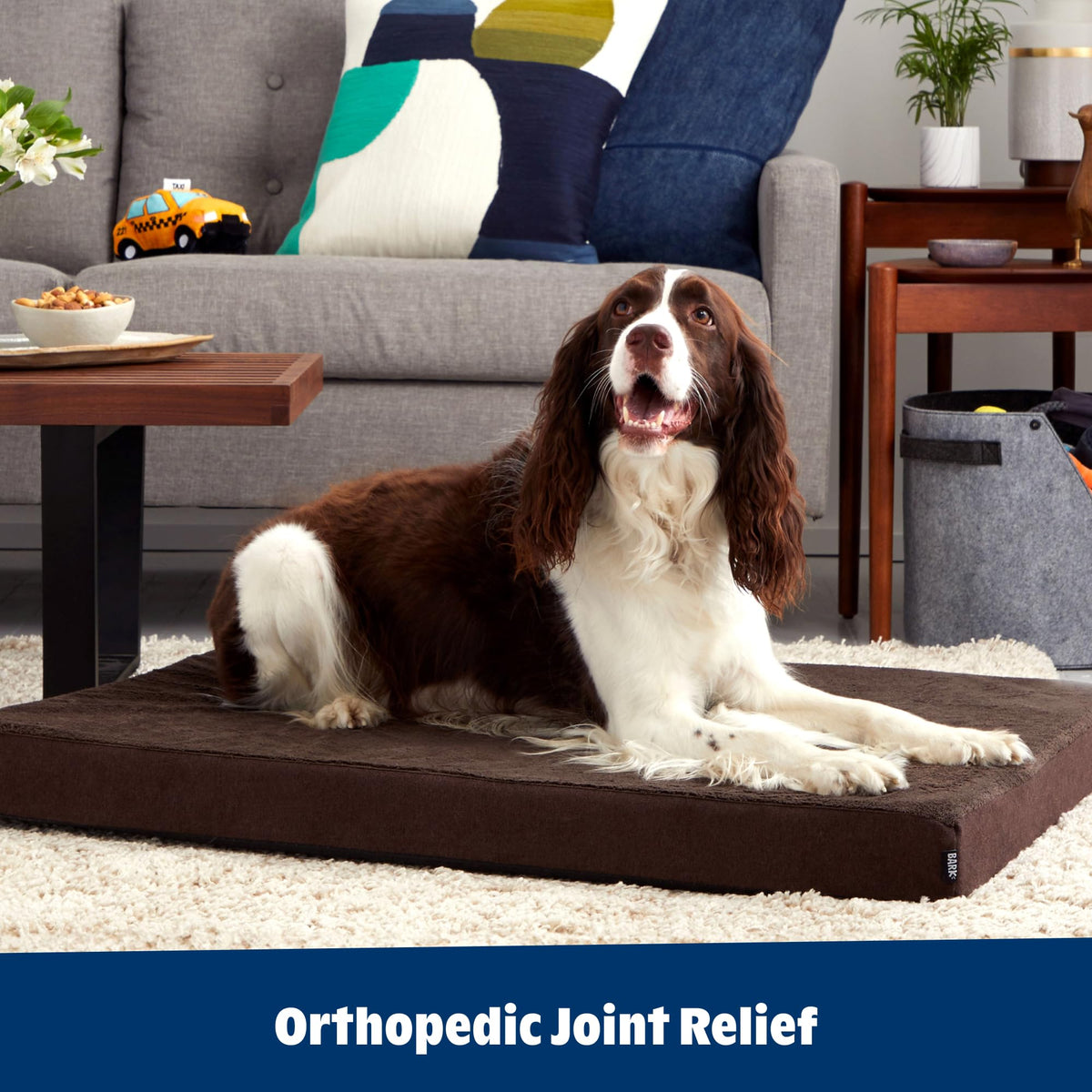 Orthopedic Dog Bed (Espresso / Large)