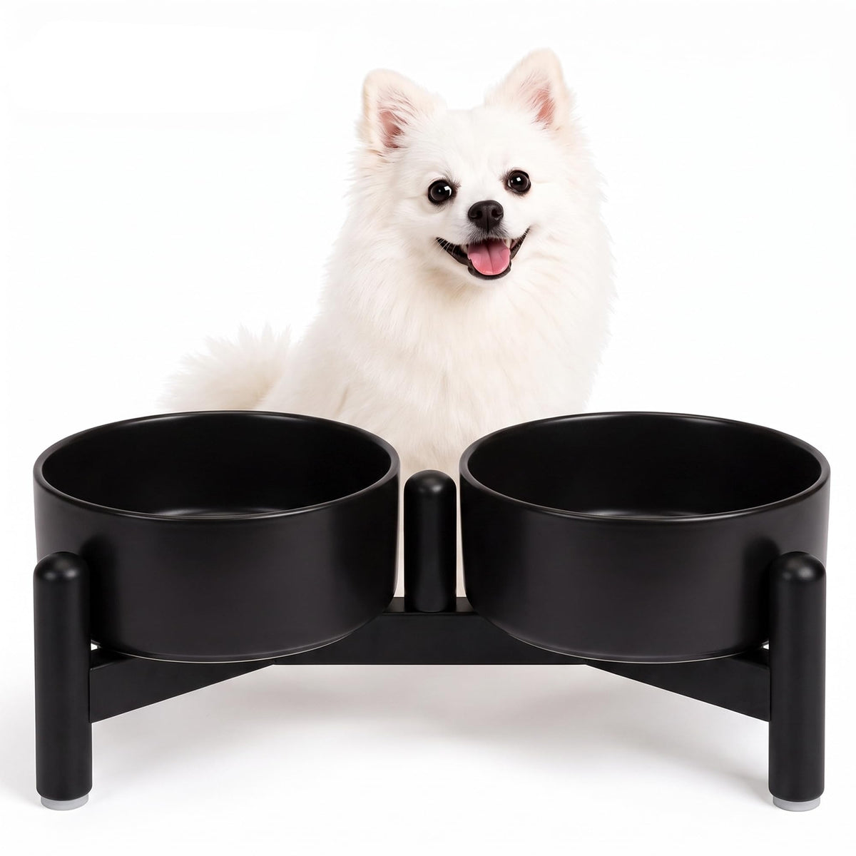 Raised Ceramic Dog Bowl Set with Stand (Black / 2 Bowls - 1.6 Cups Each)