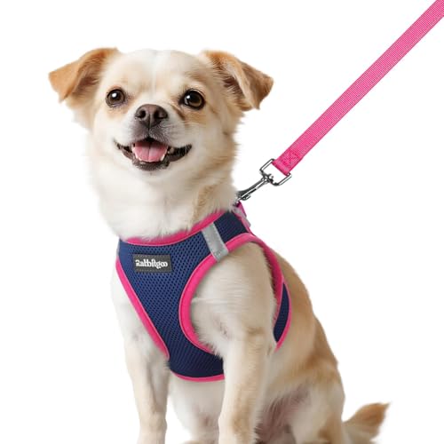 Dog Harness Small Sized and Leash Set (Navy Blue & Rose Red / XXS (Chest: 12.4"-14.2"))
