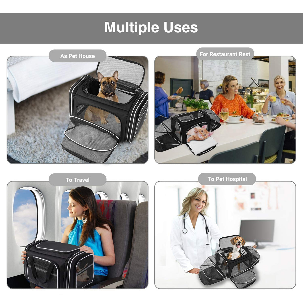TSA Airline Approved Large Pet Travel Carrier