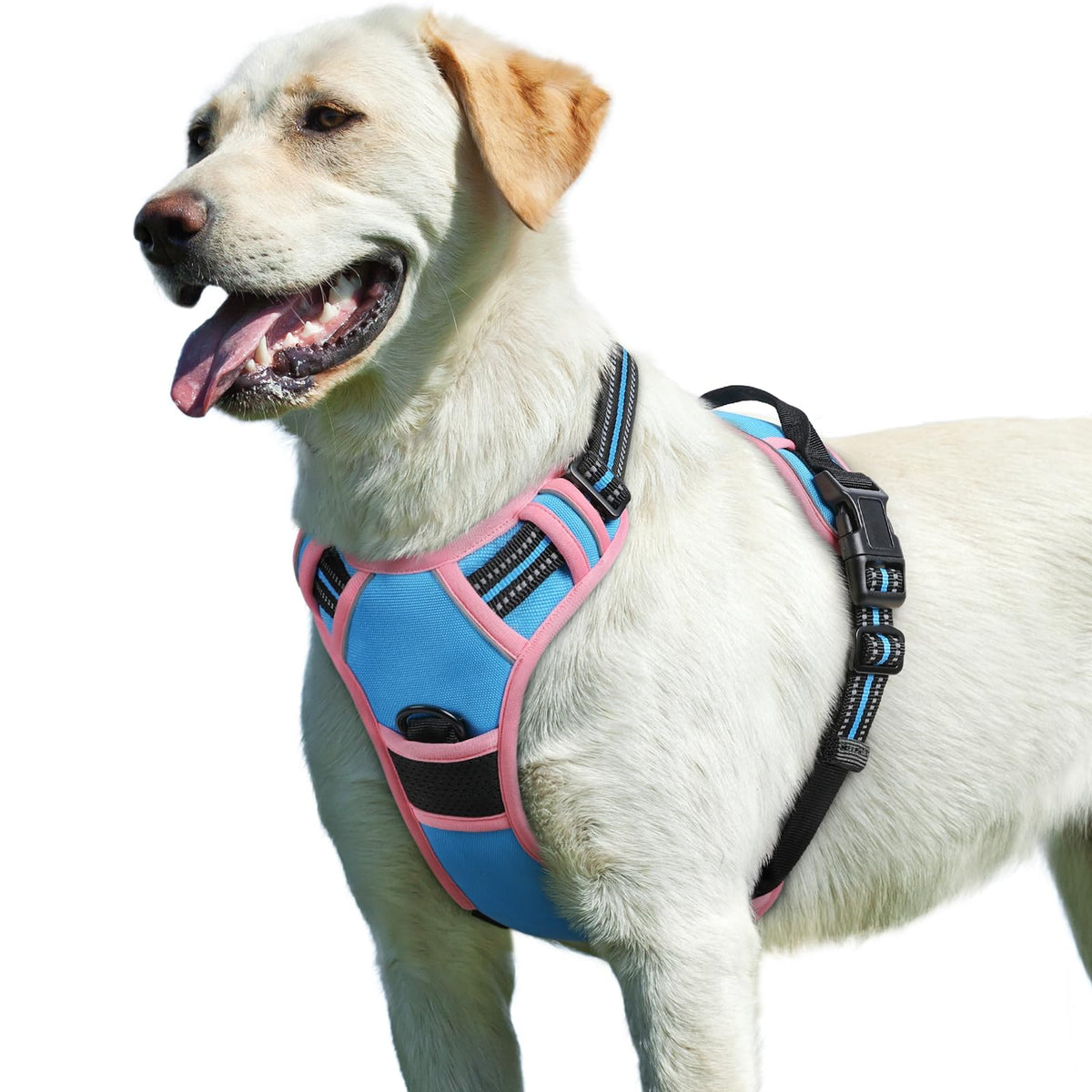 Dog Harness for Large Dogs (Large / Pink & Sky Blue)