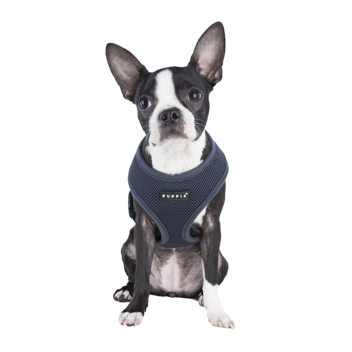 Authentic Puppia Soft Harness (Grey / XX-Large)