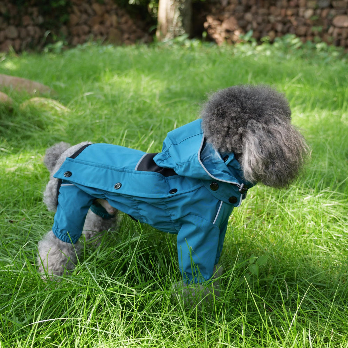 Waterproof Dog Raincoat with Removable Hood (Ocean Teal / S+ (Back 13"))