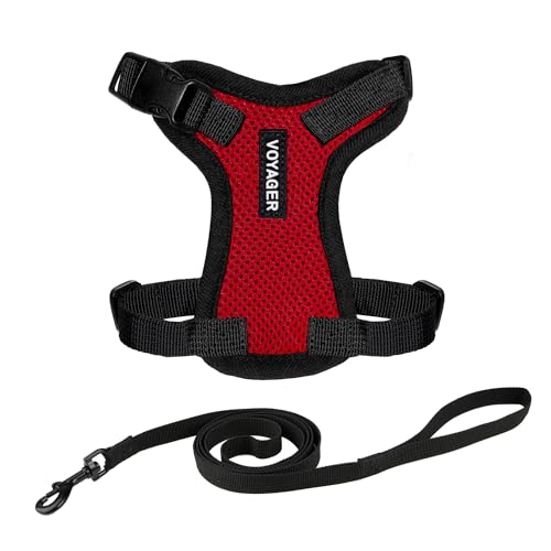 Voyager Step in Lock Cat Harness & Leash Set (Red/Black Trim / XXS (Chest: 11.5 - 14"))