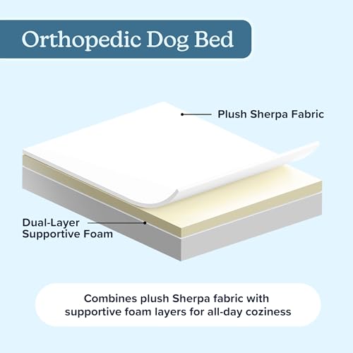 Orthopedic Dog Bed (Brown / Small)