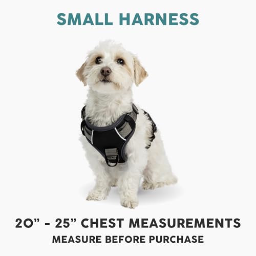 Embark No Pull Dog Harness (S / Black)