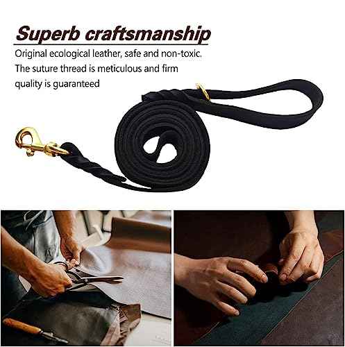 Black Leather Dog Leash 6ft x 5 (6 ft x 5/8 inch / Black)
