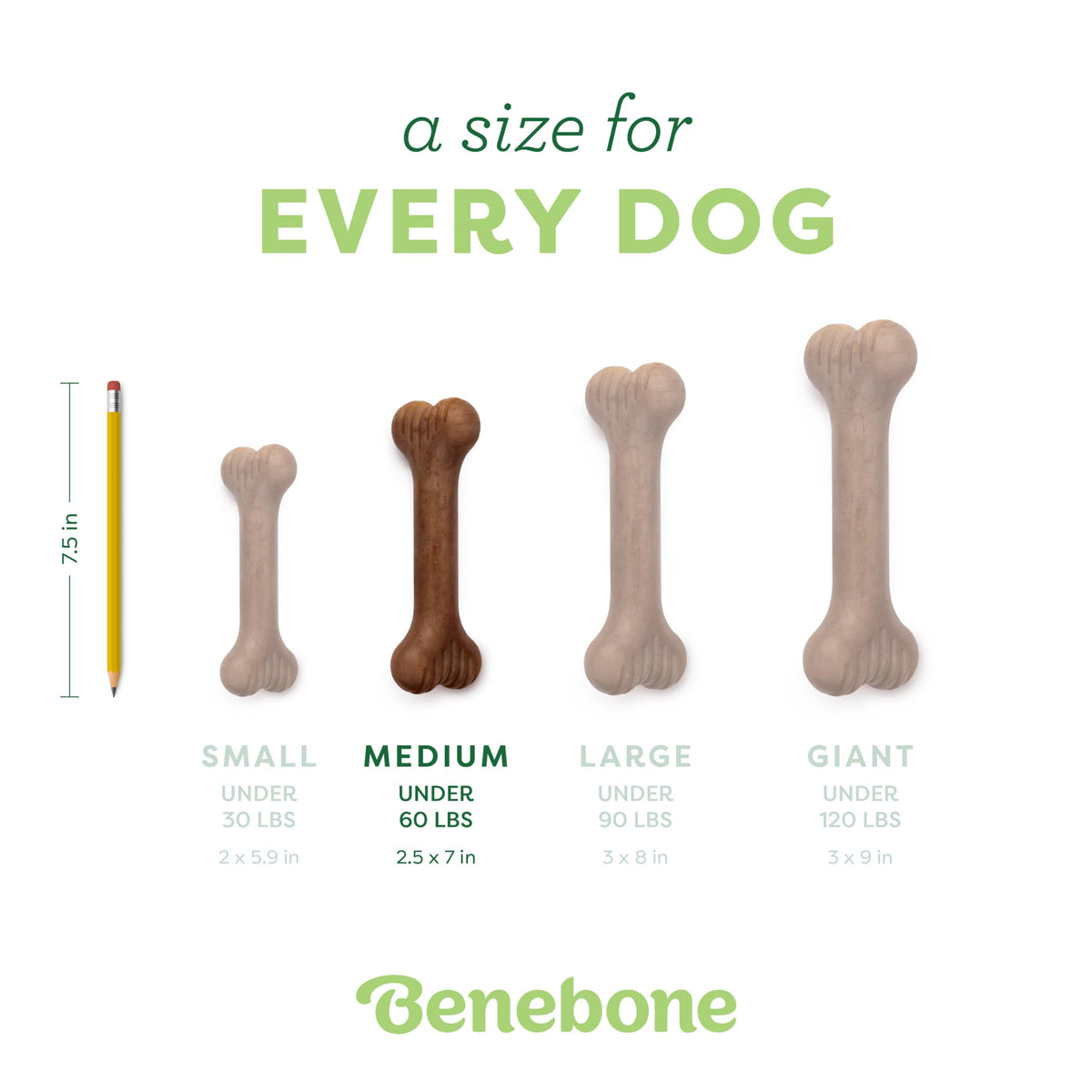 Bone Dog Chew Toy for Aggressive Chewers (REAL Bacon / Medium)