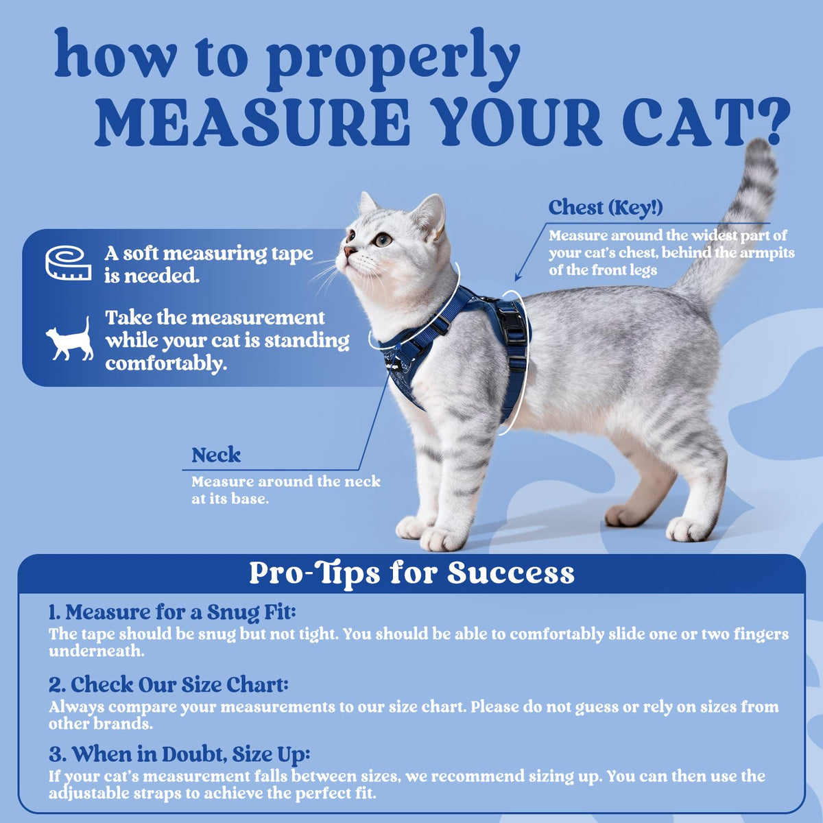 Cat Harness and Leash Set (Xxs / Cosmic Ace)