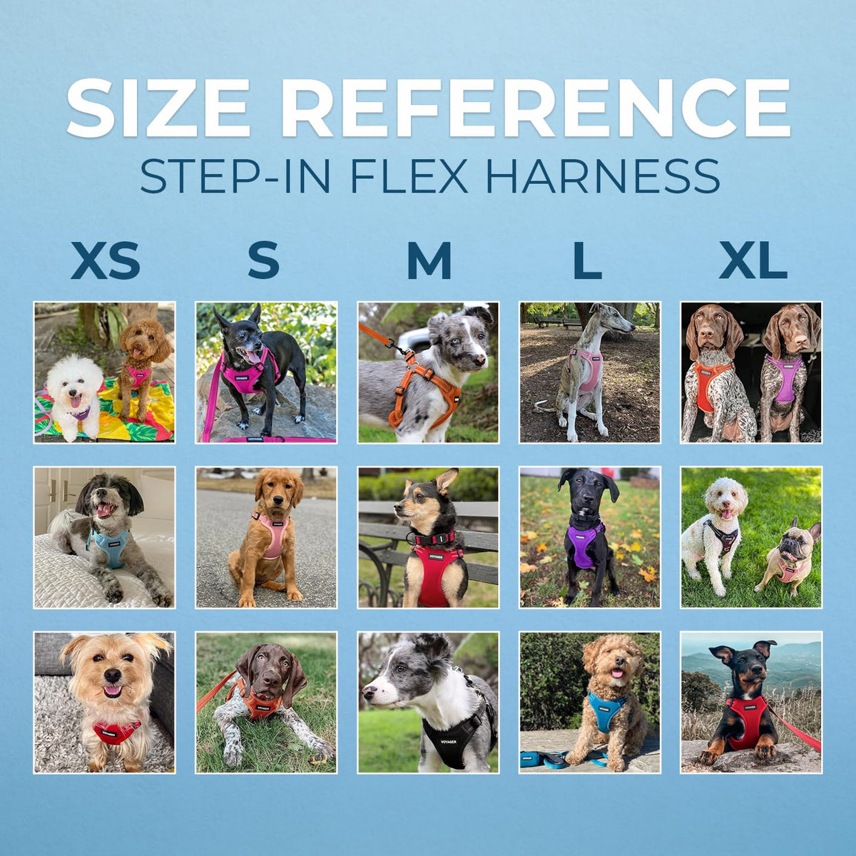 Voyager Step in Flex Adjustable Dog Harness (Gray Base / XS)