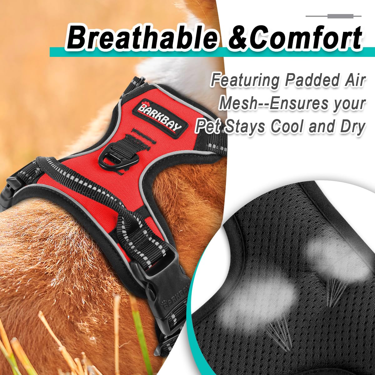 Dog Harness for Small Sized Dog No Pull 2 Leash Clips Dog Vest (Red / Small)