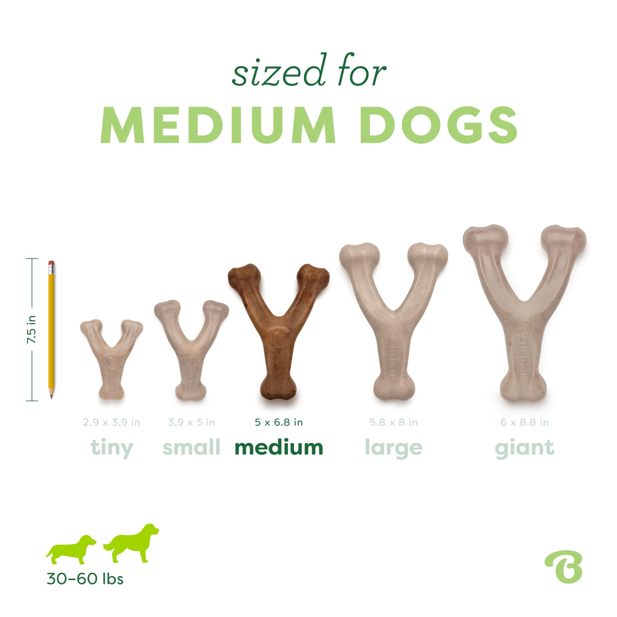 Wishbone Dog Chew Toy for Aggressive Chewers (Medium)