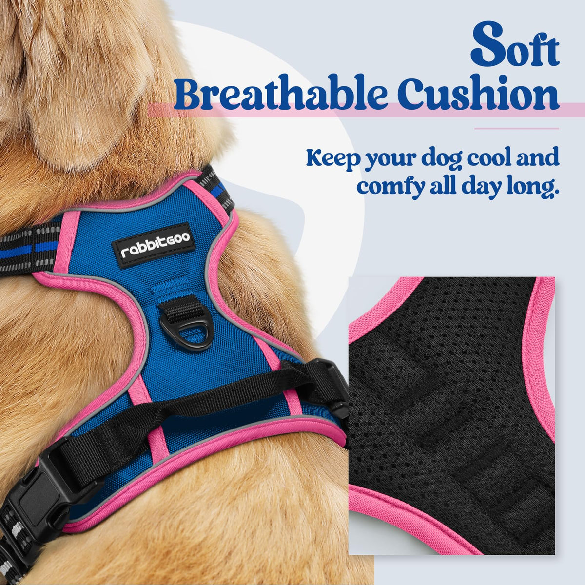 Dog Harness No Pull for Small Dogs with 2 Leash Clips (Blue & Hot Pink / Small)