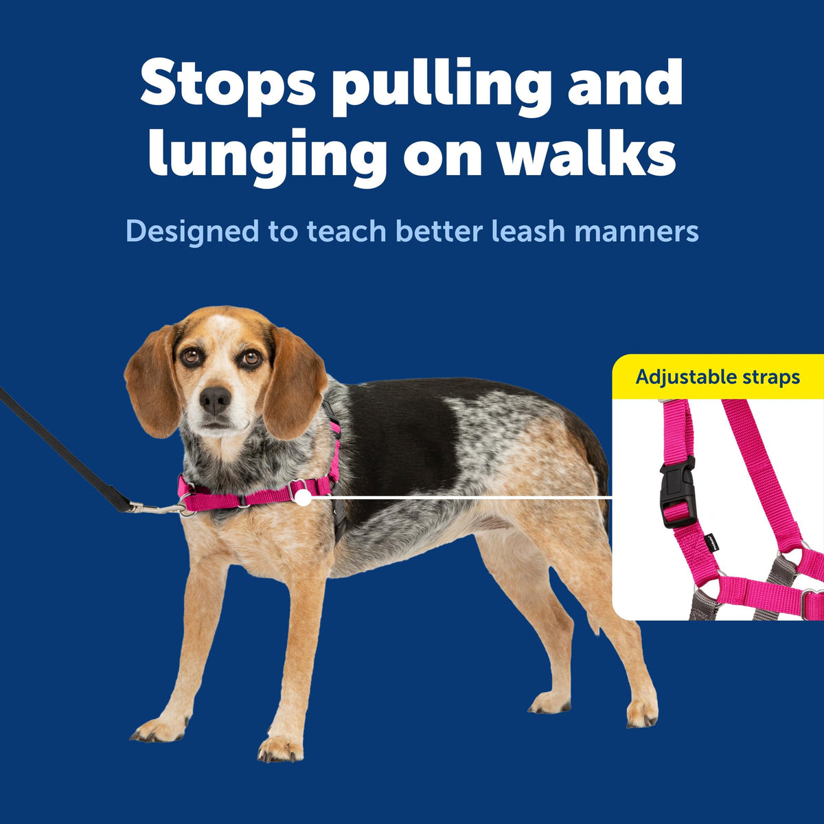 Easy Walk Harness (Small/Medium / Raspberry Pink/Grey)
