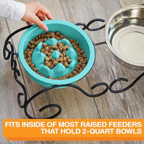 The Niner Slow Feed Bowl (Aquamarine / 2 Cup)