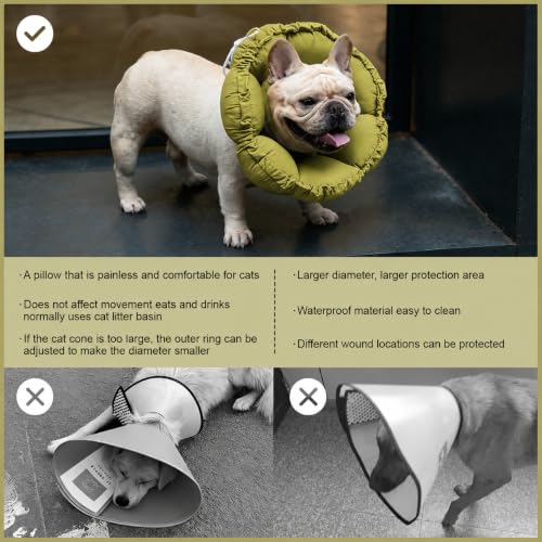 Dog Cone Collar Stress (XL-WideNeck / Green Flower)