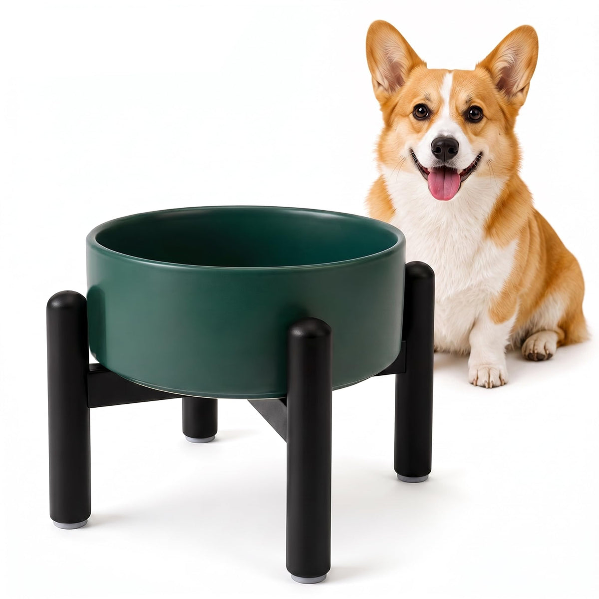 Raised Ceramic Dog Bowl Set with Stand (Green / 1 Bowl - 3.5 Cups)