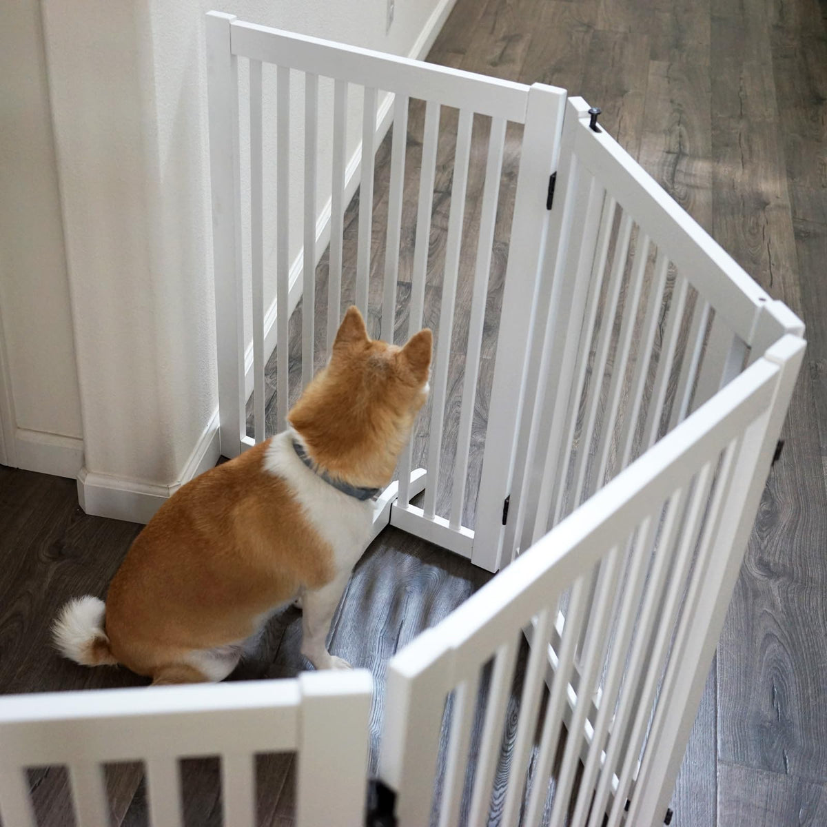 Wooden Freestanding Dog Gate (White / 4 Panel 80" Wide)