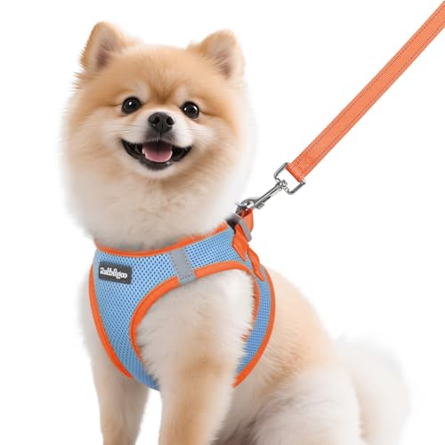 Dog Harness Small Sized and Leash Set (Blue & Orange / M (Chest: 16.0"-18.5"))