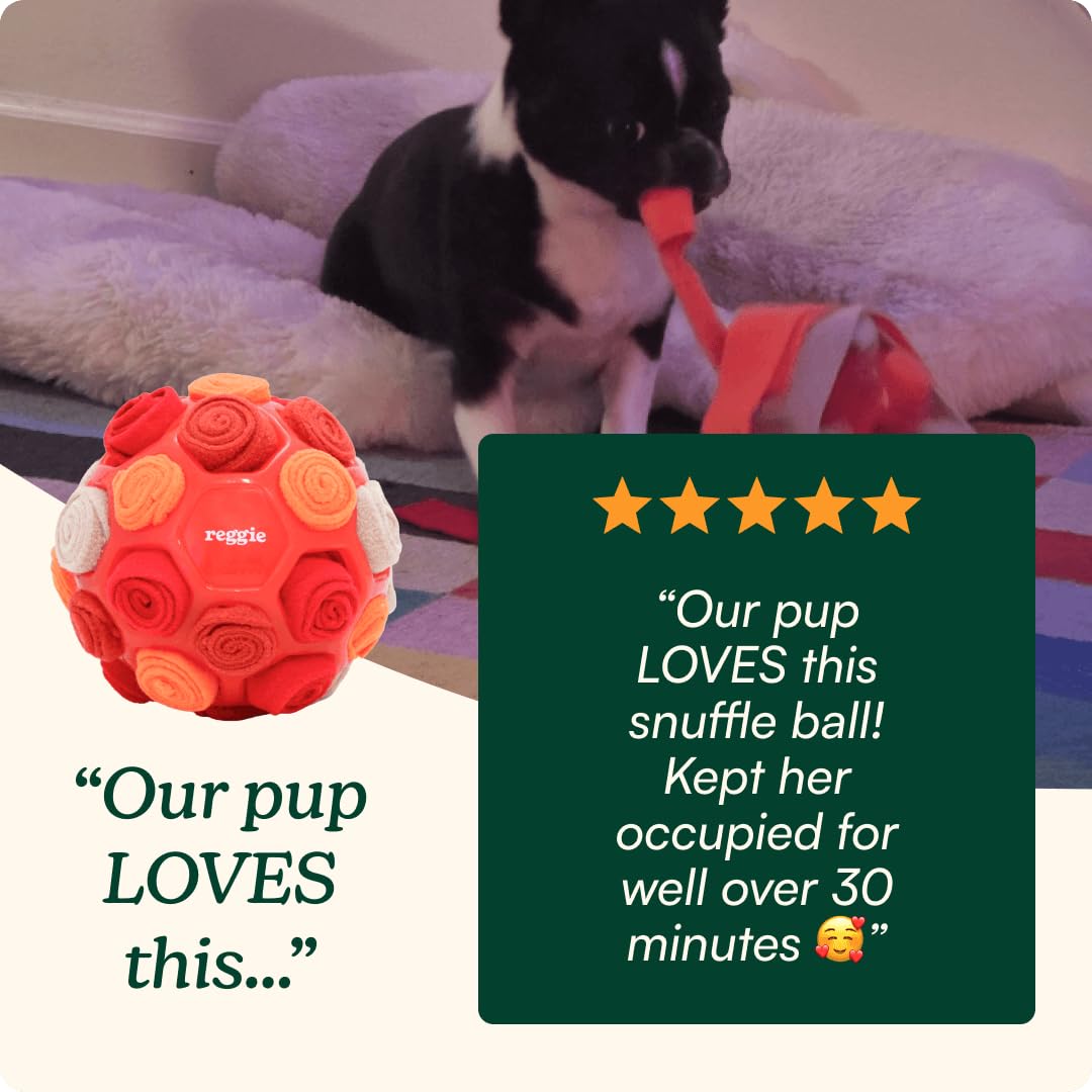 Snuffle Ball for Dogs (Forager Ball - Red)