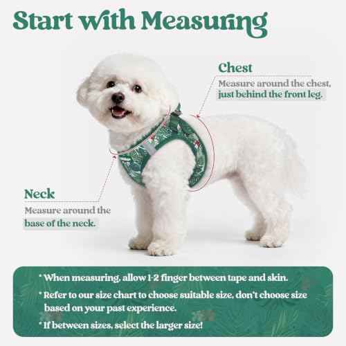 Dog Harness Small Sized and Leash Set (Rainforest Green / Xs (chest: 13.3 - 15.5"))