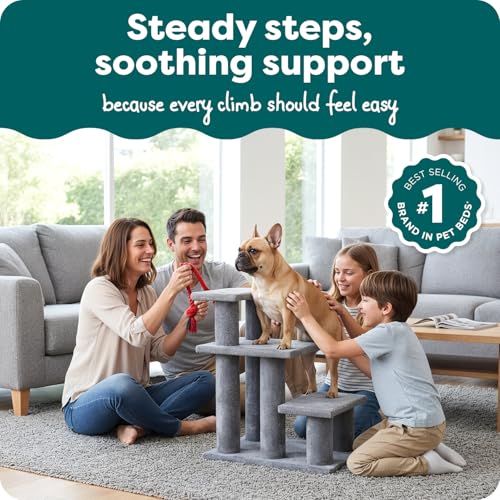 Steady Paws Multi (Gray / 3-Step / Pet Stairs)