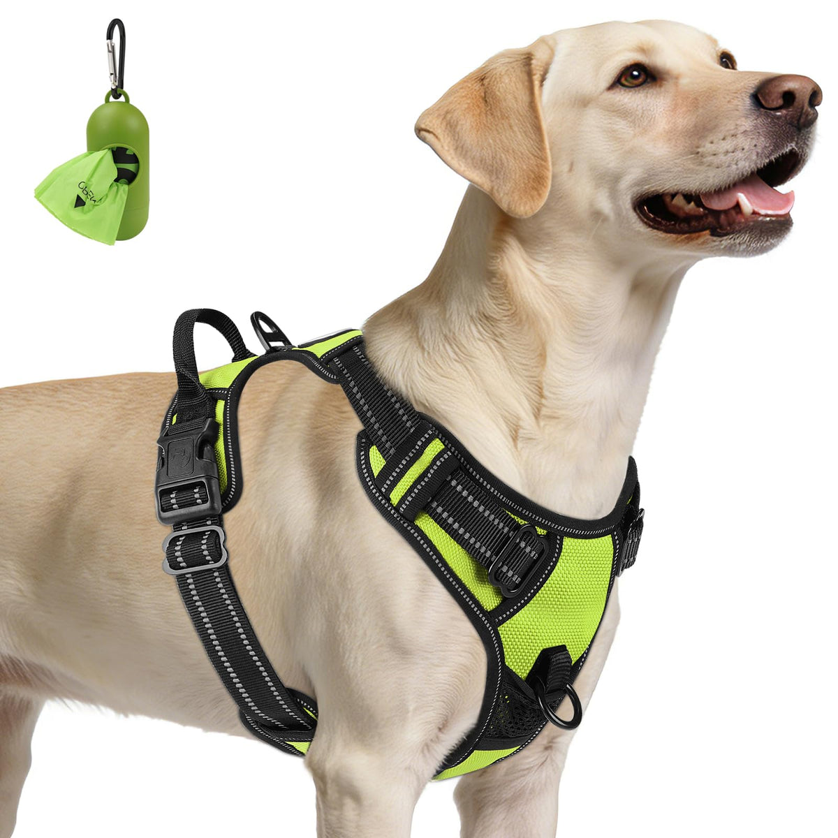 No Pull Dog Harness for Large Dogs (Large / Green)