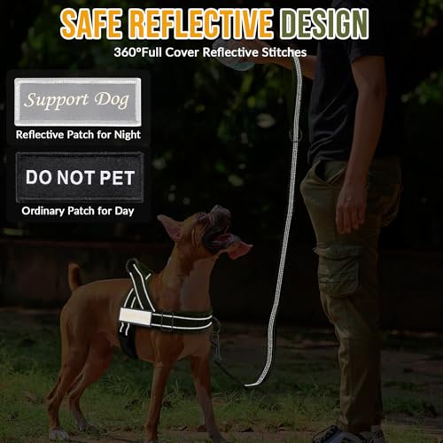 No Pull Dog Harness and Leash Set (Green / Small)