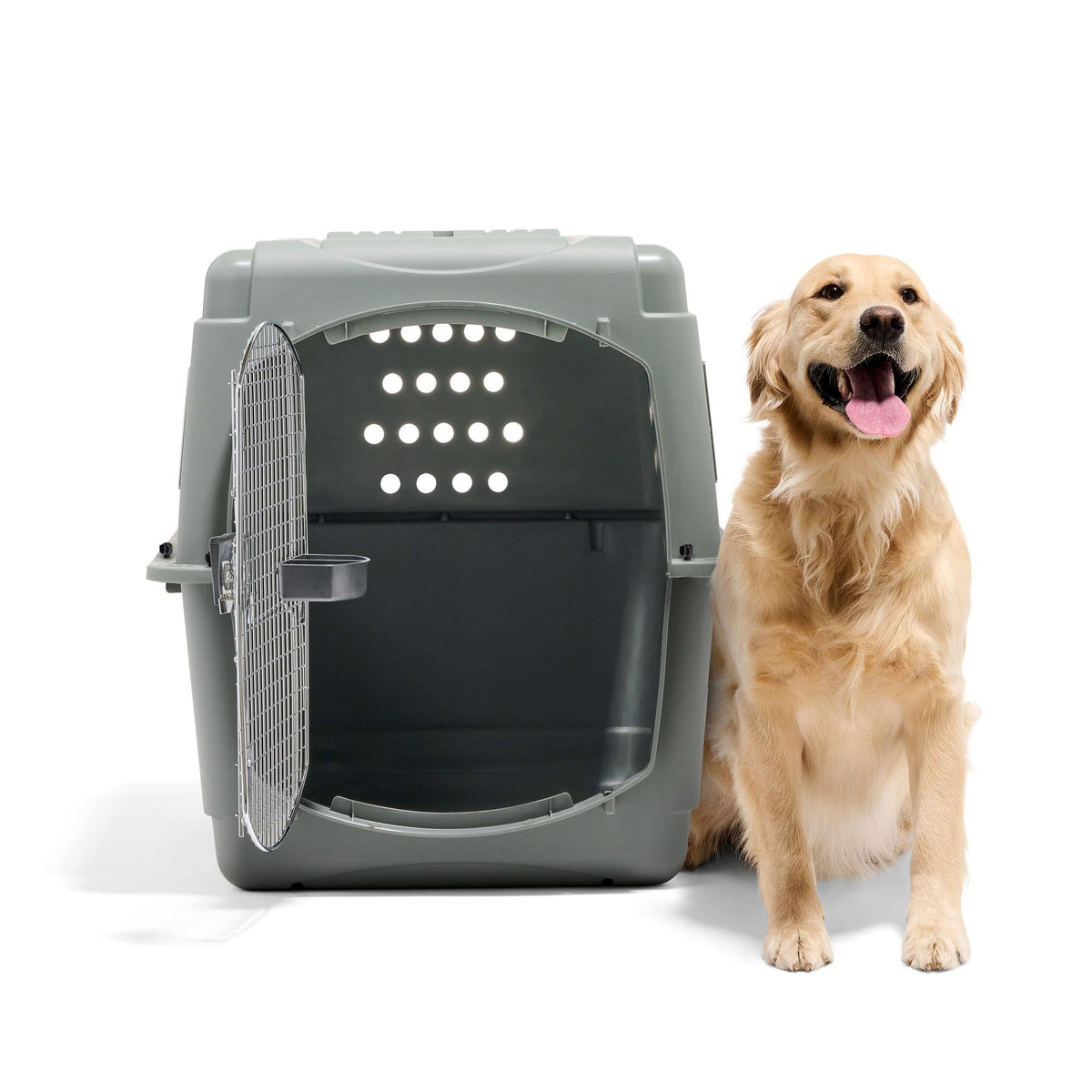 Sky Kennel for Air Travel (40 Inch / Kennel Only)