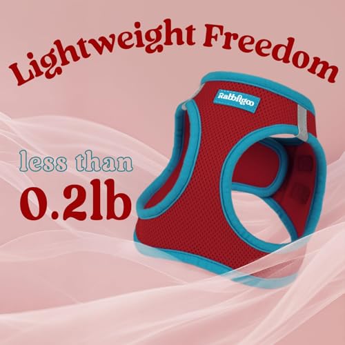 Dog Harness Small Sized and Leash Set (Red & Teal / XXS (Chest: 12.4"-14.2"))